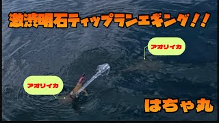 Vol.55【今年の沖は不発！？】ティップランエギング！！