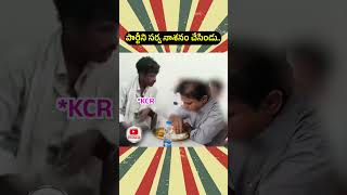 తినూ తింటూనే ఉండు పార్టీ లేదు బొక్కా లేదు || #ktr #kcr #funny #comedy #telugu