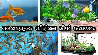 ഞങളുടെ വീട്ടിലെ മീൻ ഷേഗരം | Fish Farming at Home