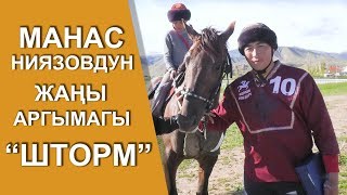 Манас Ниязовдун жаңы аргымагы “ШТОРМ” Бойка кайда?