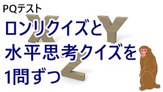 【IQ問題】ロンリクイズと、水平思考クイズが1問ずつ【pqテスト】