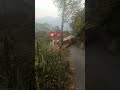 獨立山樟腦寮 下山的阿里山小火車