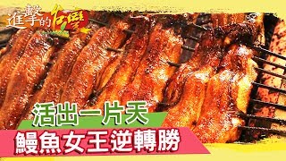 活出一片天 鰻魚女王《進擊的台灣》第226集