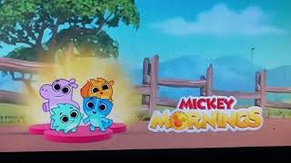 Disney Junior Coming Up Screen Bug Compilation.