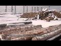 Logging Process at Changbai Mountain