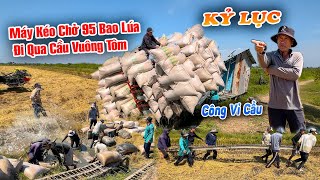 Thất Bại Máy Kéo Chở 95 Bao Lúa Qua Cầu Vuông Tôm Bị Rớt Xuống Ao