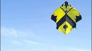 Desi Patang Bazi In Australia | Basant Festival | Kite Flying