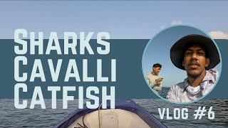 Fishing in Trinidad - Sharks, Cavalli, Catfish