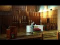 the holy sacrifice of the mass the second sunday in ordinary time noon mass