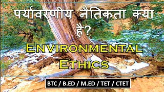 पर्यावरणीय नैतिकता क्या है? Environmental Ethics