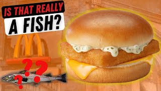 IS Filet-O-Fish REALLY Made Of FISH?