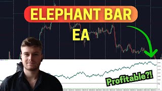 MQL5 Elephant Bar EA - Coding Tutorial