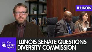 Illinois Senators Scrutinize Diversity Commission’s High Salaries, Poor Performance
