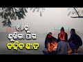 Rainfall In Odisha | Yellow Warning Issued For 18 Dists | Cold Wave To Intensify From 15th Jan