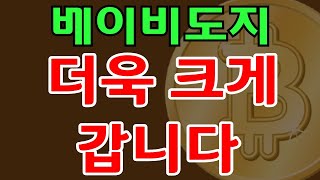 [베이비도지전망] 흐름이 심상찮음 크게 갈겁니다.