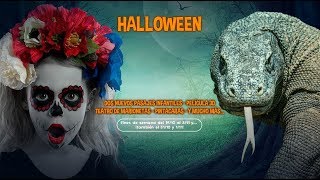 ¡El Halloween más divertido ha llegado a Faunia!