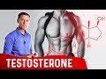 7 Ways to Boost Testosterone Naturally – Dr.Berg