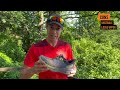 hoka speedgoat 5 review after 500k 300 miles and an ultra marathon trail running shoe review