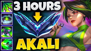 THIS is how you CLIMB in SEASON 14 with AKALI... in ONLY 3 Hours