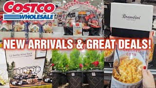 🛒COSTCO NEW ARRIVALS \u0026 GREAT DEALS for NOVEMBER 2024!✨️ (11/12)