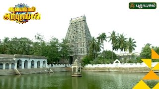 Mayiladuthurai, Mayuranathaswamy Temple | Aalayangal Arputhangal | 20/09/2016 | Puthuyugam TV