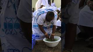 Cerasee / Bitter Melon leaves used in a Ghanaian cleansing ritual.