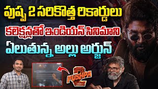 పుష్ప 2 సరికొత్త రికార్డులు | Pushpa 2 World Wide Collections | Allu Arjun | Sukumar | Wild Wolf