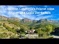 Visit Spain and discover Catalonia’s incredible Priorat wine region and Priorat wines