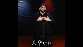 20 Safar -Arbaeen Status Noha | Nadeem Sarwar | Shah e Shaheed e Karbala | Chelum Imam Hussain a.s