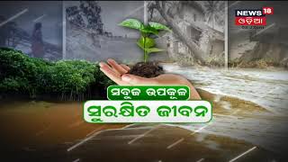 ବାତ୍ୟାର ୨୨ ବର୍ଷ ପରେ ବି ଚେତିନି ପ୍ରଶାସନ , ଉପକୂଳରେ ସବୁଜ ବନାନୀ ନେଇ ପ୍ରଶାସନର ପଦକ୍ଷେପ ଶୂନ