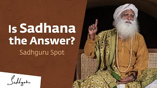 Is Sadhana the Answer? | Sadhguru Spot
