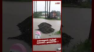 வெளுத்து வாங்கிய கனமழை..!! அடித்து செல்லப்பட்ட தரைப்பாலம்..மக்கள் அவதி..!! #shorts