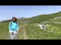 trekking in japan hiraodai karst plateau.