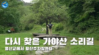 다시 찾은 가야산 해인사 소리길 | 성보박물관에서 황산주차장까지