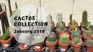 Cactus Collection Jan. 2019 and an Introduction of this New Channel