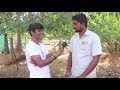 மேச்சேரி ஆடு வளர்ப்பு பற்றி யாரும் சொல்லாத தகவல்கள் mecheri goat farms in tamil uzhavan magan