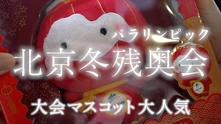 【北京パラ動画リポート】公式ショップに長蛇の列 お目当ては？