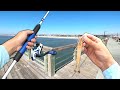 Eating Whatever I Catch.. PIER Fishing (Catch and Cook)