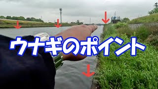 ウナギ釣りポイントの決め方・・・【うなぎ釣り】