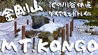 金剛山この冬最後の雪かな？！ THE END OF KONGO SNOW!