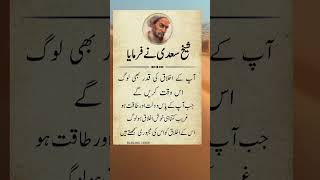 Sheikh Sadi Urdu Islamic Quotes Urdu Quotes Shorts Video Islamic Quotes Urdu Poetry Viral