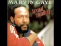 Marvin Gaye - Sexual Healing (Instrumental)