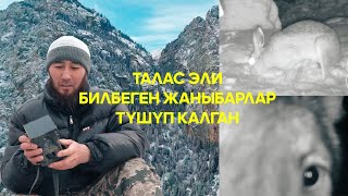 Жаратылыштын жан сакчысы | Керемет өлкөм