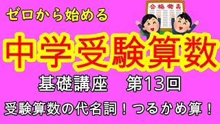 【中学受験算数】【つるかめ算】ゼロから始める中学受験算数１３　つるかめ算がどうしても分からない人必見！仕組みから丁寧に解説します！！