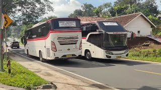 Absen Supir Ramah Bus Primajasa Raja Hino Asia Tenggara