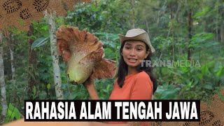 [FULL] RAHASIA ALAM TENGAH JAWA | JEJAK PETUALANG (11/12/24)