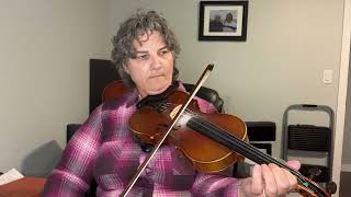 Day 332 - Hurricane Hazel -Patti Kusturok’s 366 Days of Fiddle Tunes