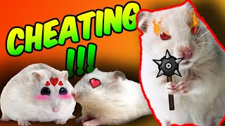 Hamster Maze with Traps 🐹 Cute Hamster pets Cheating Love