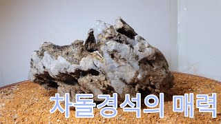 투가 있는 차돌경석의 매력에 빠져보아요