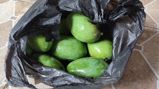 RUJAK DADAKAN || MANGGA MUDA + KEDONGDONG